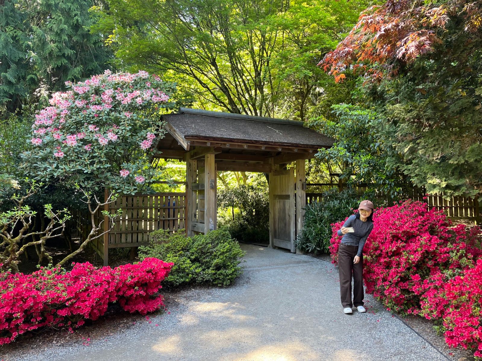 A Japanese garden in Seattle